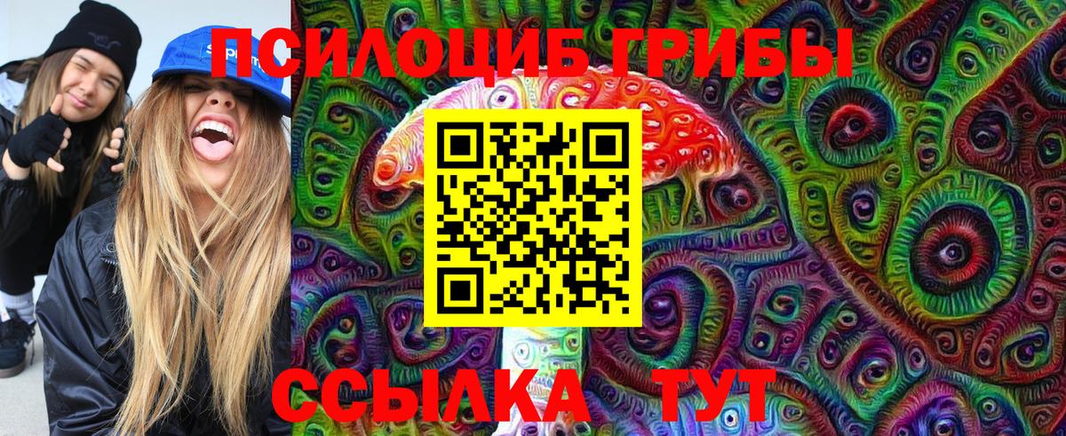 Псилоцибиновые грибы Psilocybine cubensis Спасск-Дальний