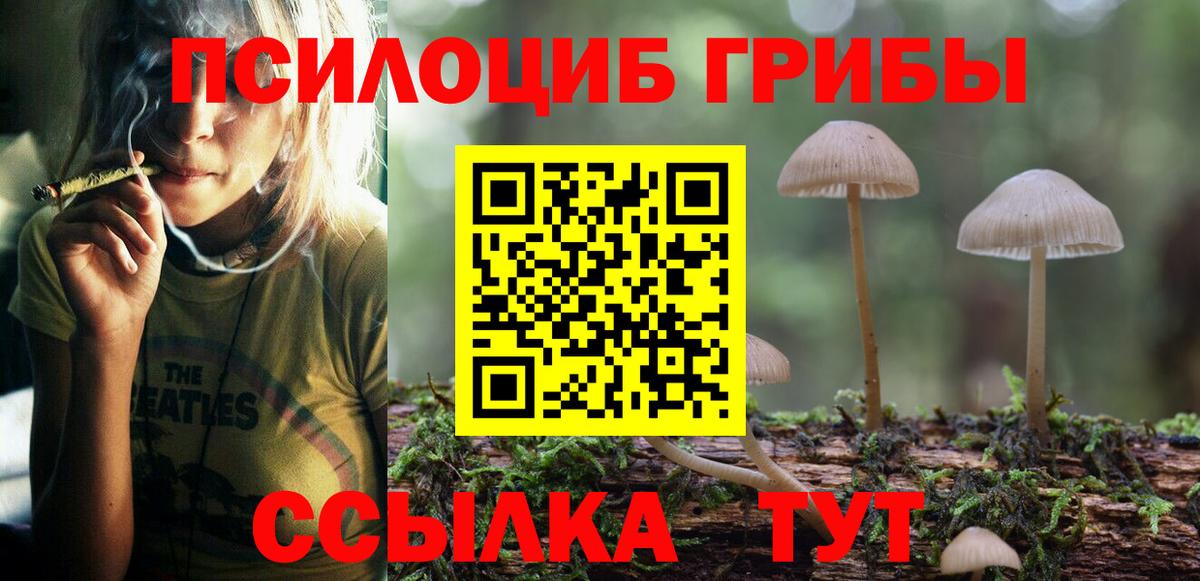 Псилоцибиновые грибы Psilocybe  Вход с VPN  Спасск-Дальний 